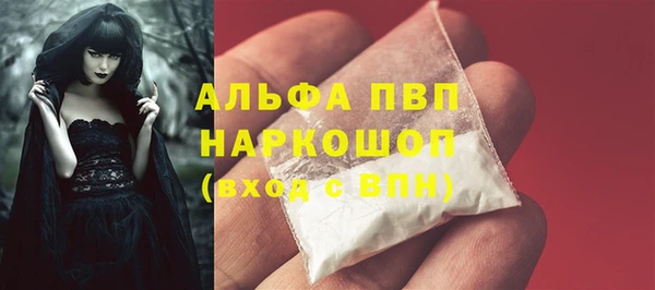 PSILOCYBIN Белоозёрский