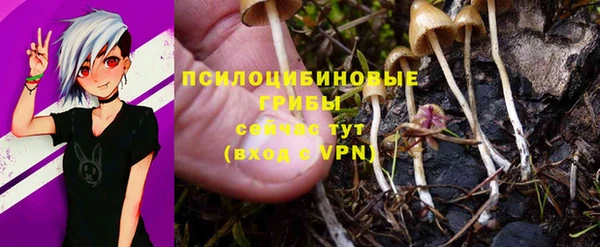 ALPHA PVP Балахна